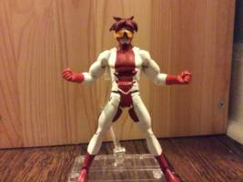 Impulse young justice (DC Universe) Custom Action Figure