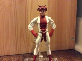 Impulse young justice (Young Justice) Custom Action Figure