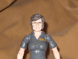 My Wonder Woman (Original) Custom Action Figure