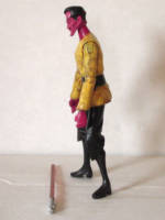 Darth Sinestro (Star Wars) Custom Action Figure [Left Side View]
