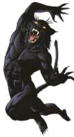 TOMCAT Thomas Bronson JSA All-Stars (DC Universe) Custom Action Figure