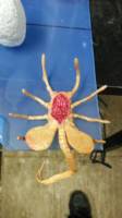Facehugger (Aliens) Custom Statue / Bust