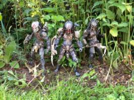 Blood hound Predator (Predator) Custom Action Figure