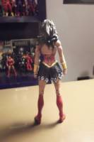 Warrior Wonder Woman (DC Universe) Custom Action Figure