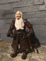 Balin (Hobbit) Custom Action Figure