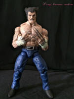 Wolverine logan (Marvel Legends) Custom Action Figure