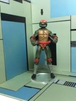 Raphael (Teenage Mutant Ninja Turtles) Custom Action Figure
