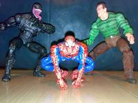 SpiderMan (Spider-Man - Movie) Custom Action Figure