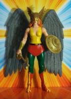 HAWKWOMAN Shayera Hol Masters of The Universe Classic style (DC Universe) Custom Action Figure