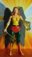 HAWKWOMAN Shayera Hol Masters of The Universe Classic style (DC Universe) Custom Action Figure