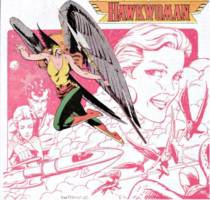 HAWKWOMAN Shayera Hol Masters of The Universe Classic style (DC Universe) Custom Action Figure