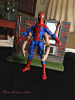 Six arms spiderman (Marvel Legends) Custom Action Figure