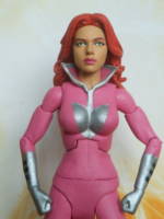 Plastique (DC Universe) Custom Action Figure