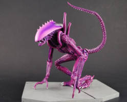 Alien Arachnoid (Alien vs Predator) Custom Action Figure