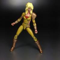 Fury (DC Infinite Heroes) Custom Action Figure