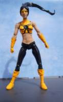 Tarantula (DC Universe) Custom Action Figure