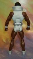 Tyroc (DC Universe) Custom Action Figure