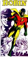 EARTH-2 ROBIN Richard Grayson Justice Society of America (DC Universe) Custom Action Figure