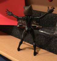 Wolfsbane (Marvel Legends) Custom Action Figure
