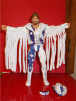 "Macho King" Randy Savage (Wrestling) Custom Action Figure