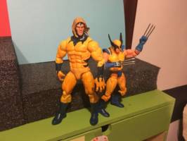 Sabretooth (What if... Sabretooth was Wolverine's Super Hero Partner) (Marvel Legends) Custom Action Figure
