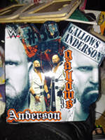 The Club boxed Custom Elite figures (Wrestling) Custom Action Figure
