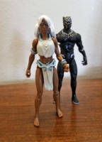 Storm, Queen of Wakanda (X-Men) Custom Action Figure