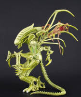 Carrier Alien (Alien vs Predator) Custom Action Figure