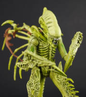 Carrier Alien (Alien vs Predator) Custom Action Figure