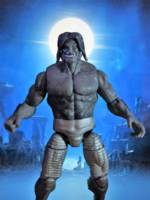 Dark Beast (AoA) (Marvel Universe) Custom Action Figure