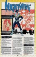 Nightwing (DC Icons) Custom Action Figure