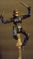 D.C Legends: Nightwing (DC Universe) Custom Action Figure