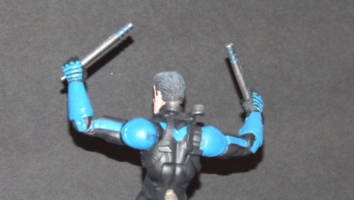 D.C Legends: Nightwing (DC Universe) Custom Action Figure