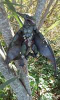Sauron of The Savage Land (Marvel Legends) Custom Action Figure