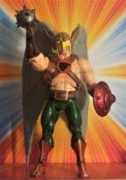 SAVAGE HAWKMAN Carter Hall Katar Hol Masters of the Universe (Masters of the Universe) Custom Action Figure