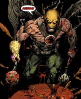 SAVAGE HAWKMAN Carter Hall Katar Hol Masters of the Universe (Masters of the Universe) Custom Action Figure