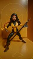 Dani Moonstar (Mirage) (X-Men) Custom Action Figure