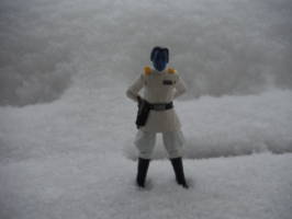 Grand Admiral Thrawn (Star Wars) Custom Action Figure