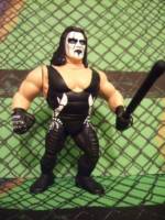 Sting (Wrestling) Custom Action Figure