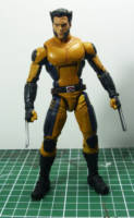 Wolverine (Marvel Legends) Custom Action Figure