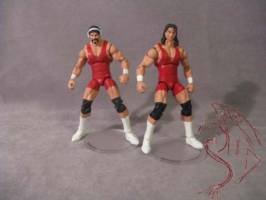 Steiner Brothers (Wrestling) Custom Action Figure