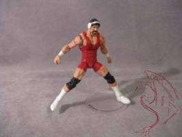 Steiner Brothers (Wrestling) Custom Action Figure