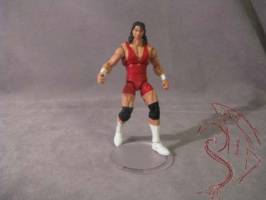 Steiner Brothers (Wrestling) Custom Action Figure