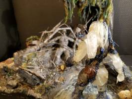 Predator: He Couldn't See Me (Predator) Custom Diorama / Playset