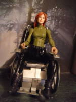 Barbara Gordon Oracle (DC Universe) Custom Action Figure