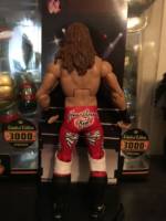 Shawn Michaels (1995 Royal Rumble) (Wrestling) Custom Action Figure