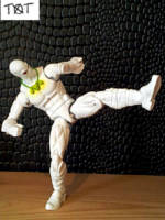 White Tiger (Marvel Legends) Custom Action Figure