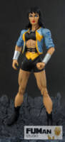 DC Wonder Woman (Deodato Style) (DC Direct) Custom Action Figure