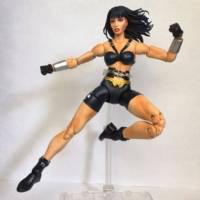 Wonder Woman (DC Universe) Custom Action Figure