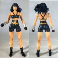 Wonder Woman (DC Universe) Custom Action Figure